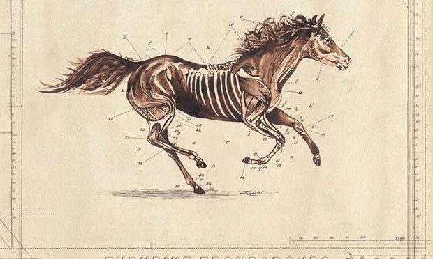 weird ass cover--it's a horse running with needles all through its side